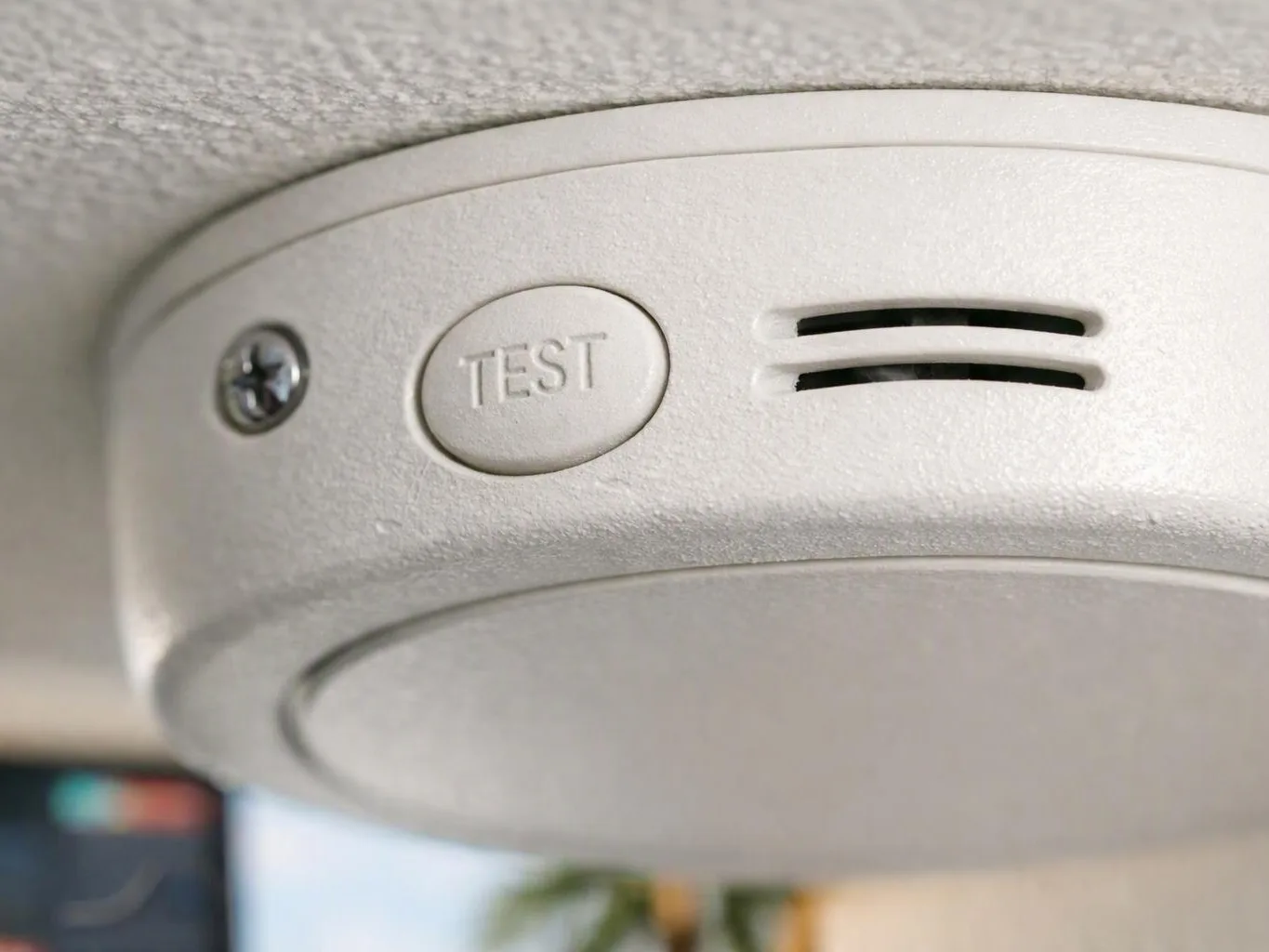 Close-up of a white smoke detector on a ceiling, showing the test button and speaker slots